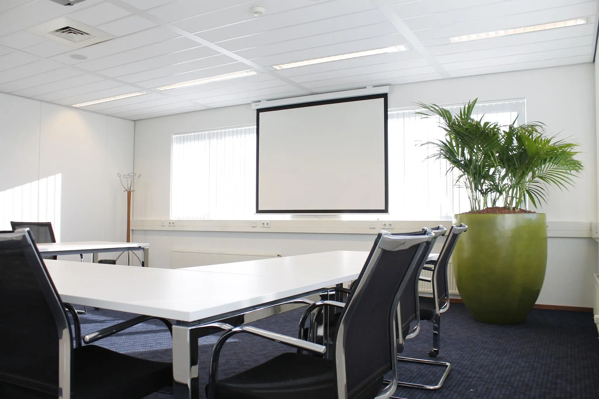 Vergaderruimte aan de Laan van ’s-Gravenmade met witte tafels, zwarte stoelen, een groot projectiescherm en een grote groene kamerplant.